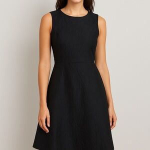 J.CREW Textured Black Sleeveless Fit & Flare Dress (Size 8)